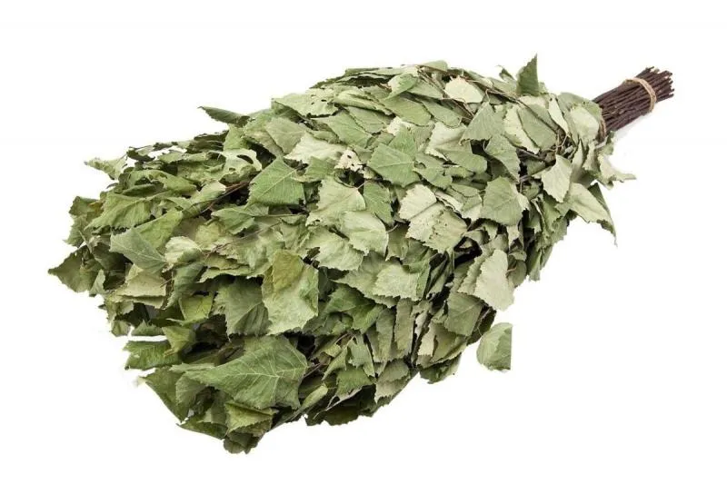 Веники для бани: Что, как и почему?